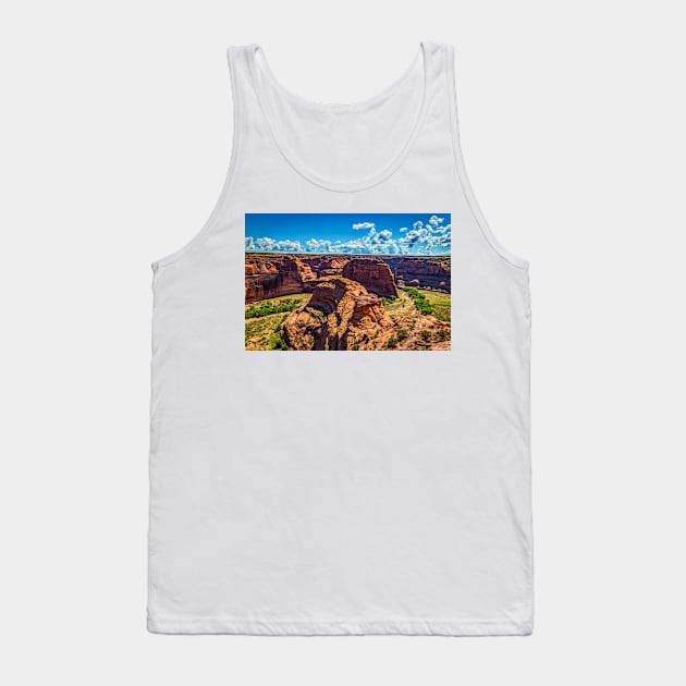 Canyon de Chelly National Monument Tank Top by Gestalt Imagery